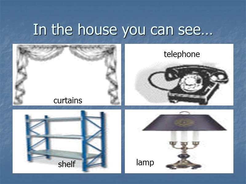 In the house you can see… curtains telephone    shelf lamp
